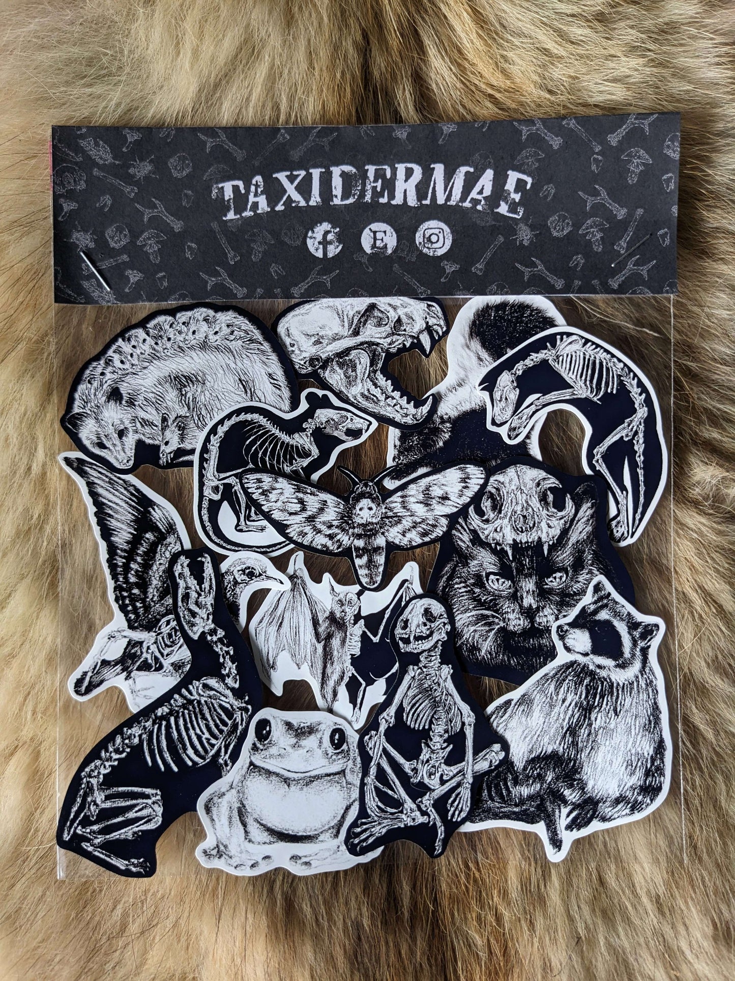 LOVE THE UNLOVED, Original vinyl sticker Pick n Mix | Oddities & Curiosities | Scrapbook planner | Animal art sticker | Skeleton anatomy |