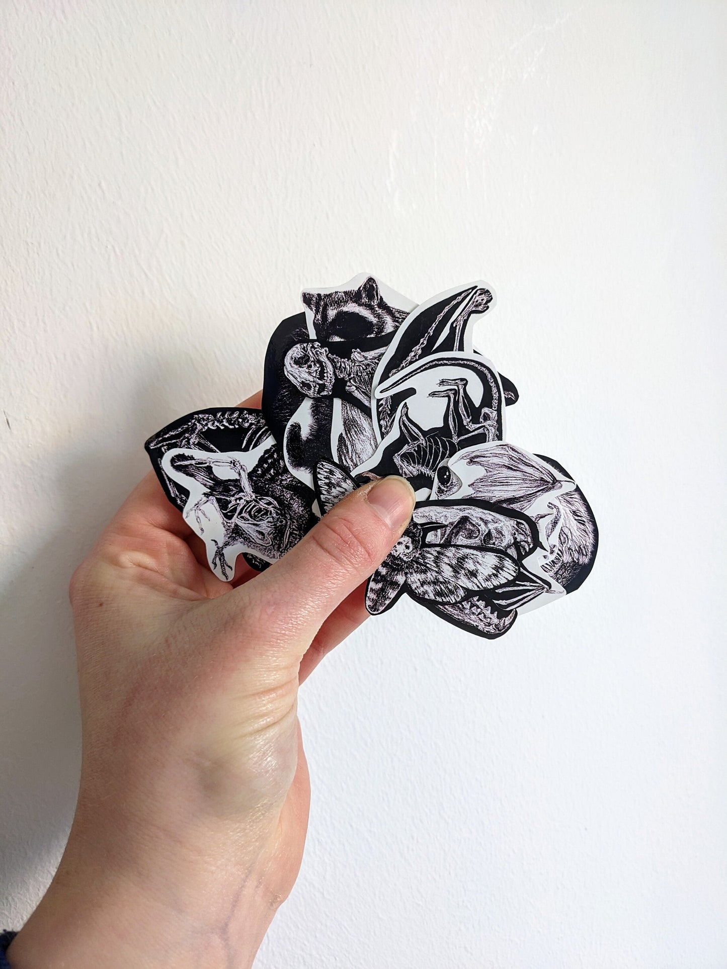 LOVE THE UNLOVED, Original vinyl sticker Pick n Mix | Oddities & Curiosities | Scrapbook planner | Animal art sticker | Skeleton anatomy |