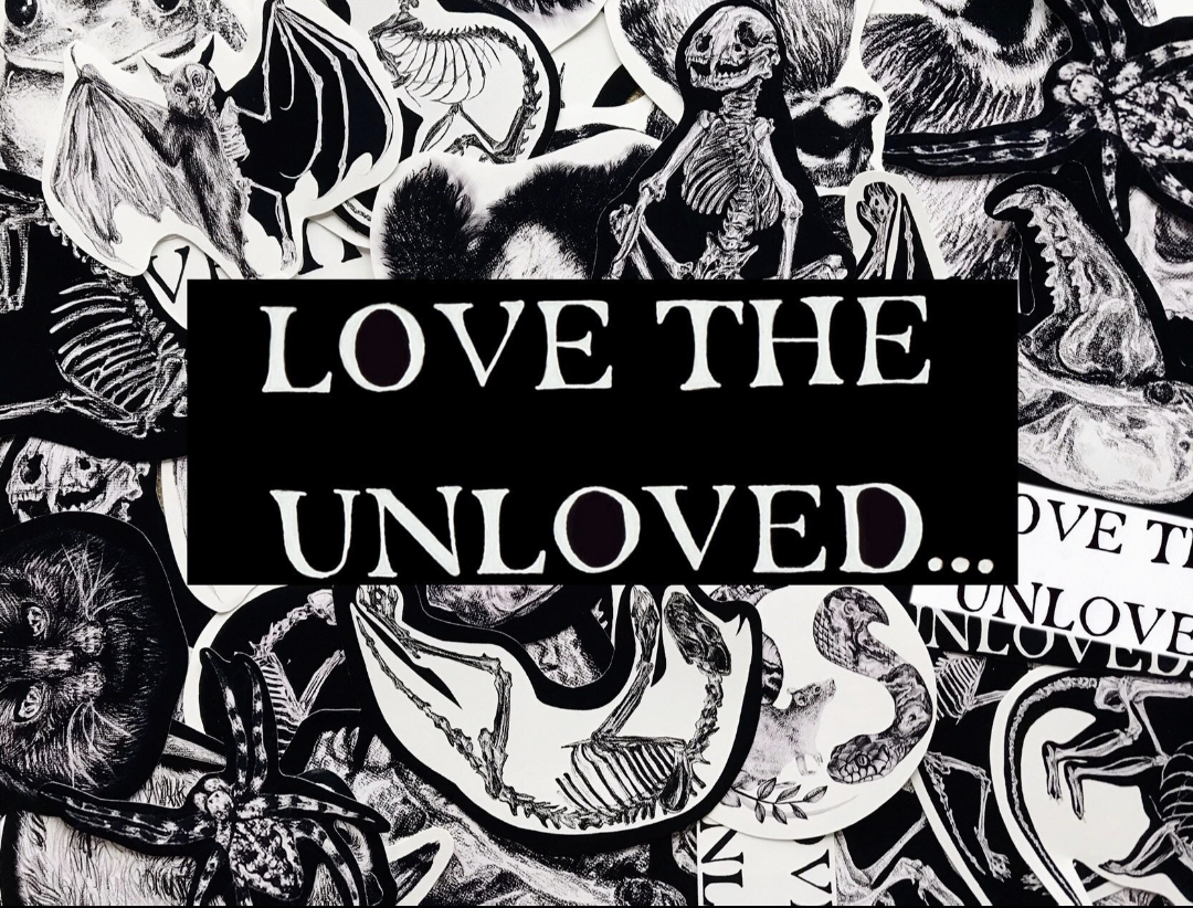 Love the Unloved