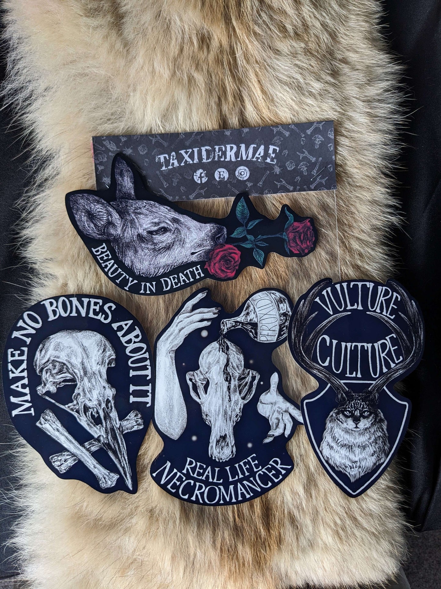 VULTURE CULTURE, Original extra large vinyl sticker set of 4 | Oddities & Curiosities | laptop planner | taxidermy stickers | Gothic horror art |