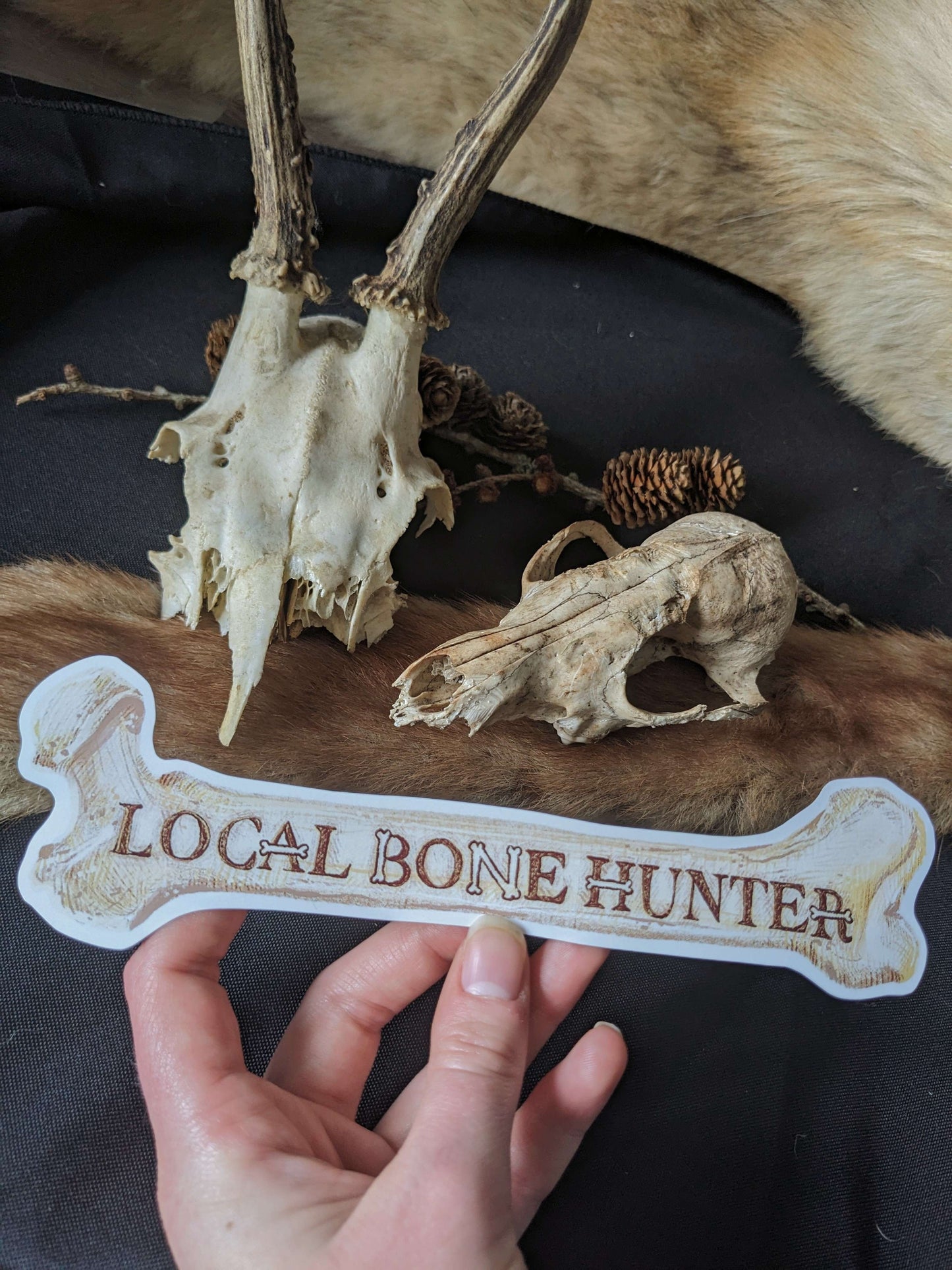 LOCAL BONE HUNTER, Original extra large sticker | Oddities & Curiosities | Vulture culture | Skull collecting | Gothic | Roadkill