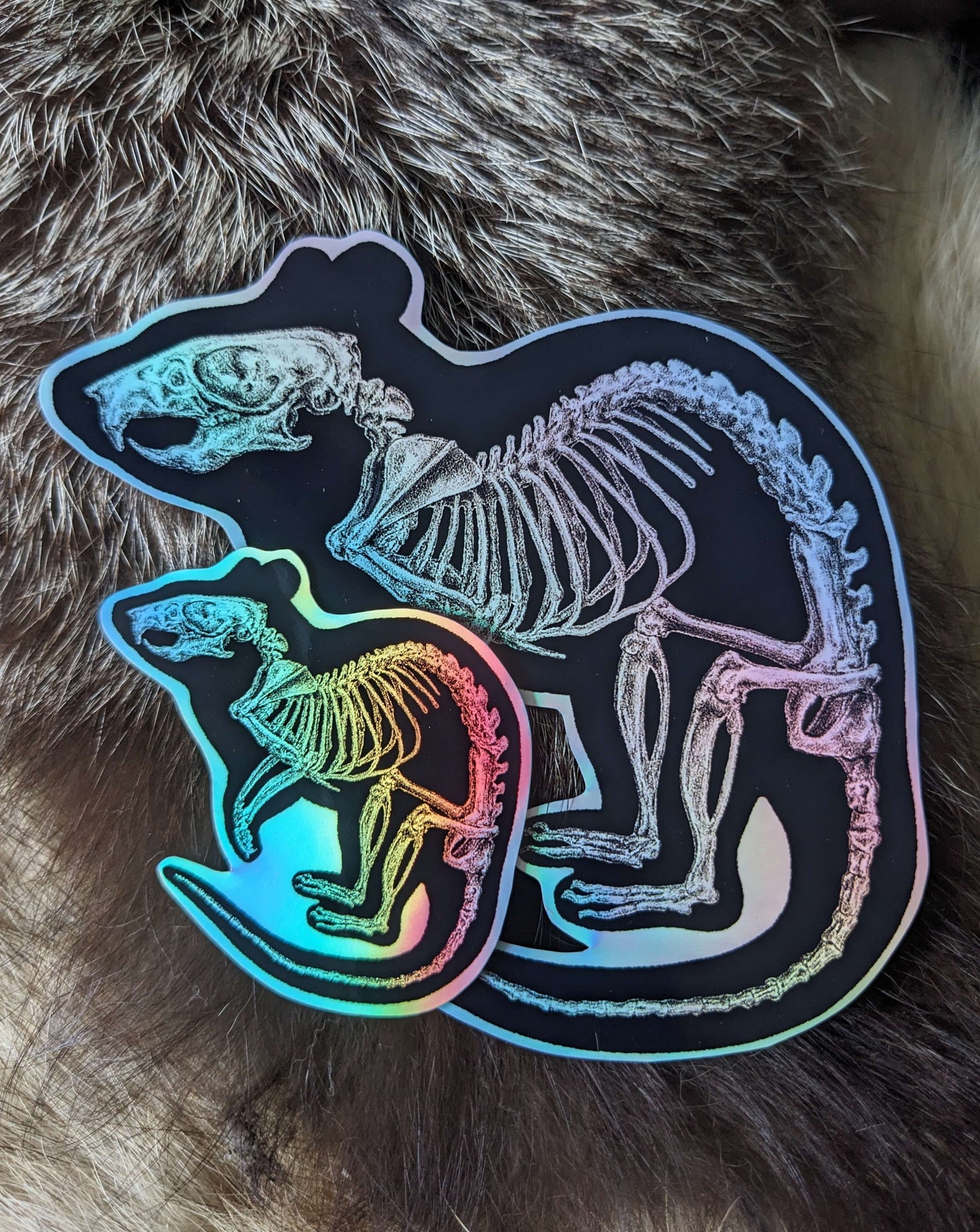 HOLOGRAPHIC RAT SKELETON, Original large sticker | Oddities & Curiosities | Vulture culture | Skull collecting | Rodent | Love the unloved