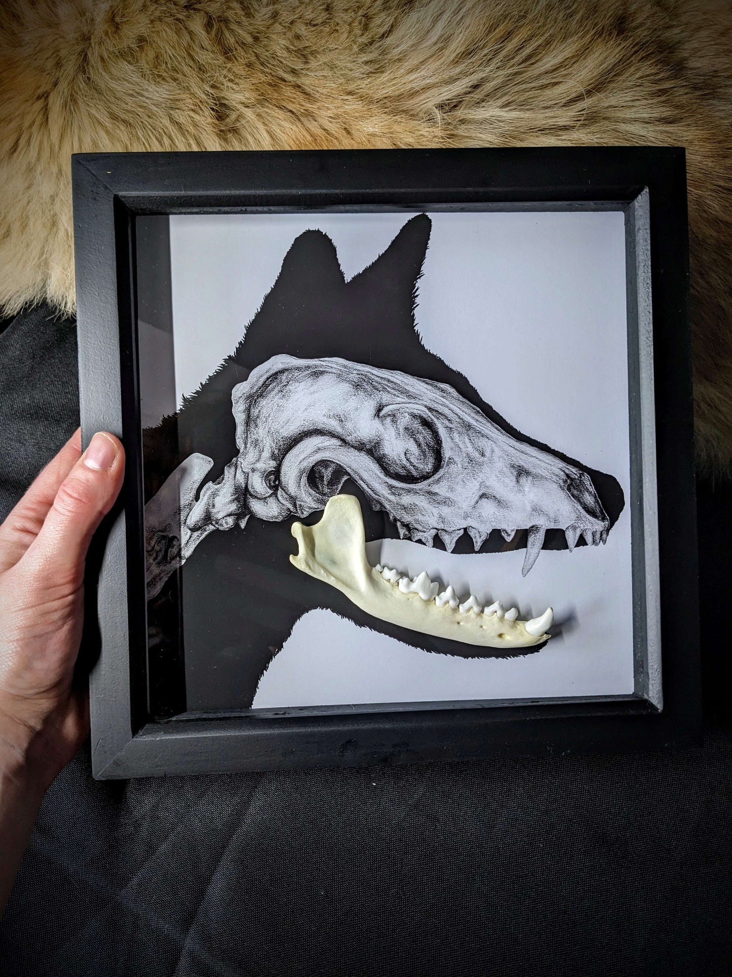 FOR FOX SAKE, Original art print with real fox jaw taxidermy framed shadow box | Gothic print | Oddities & Curiosities | Taxidermy art