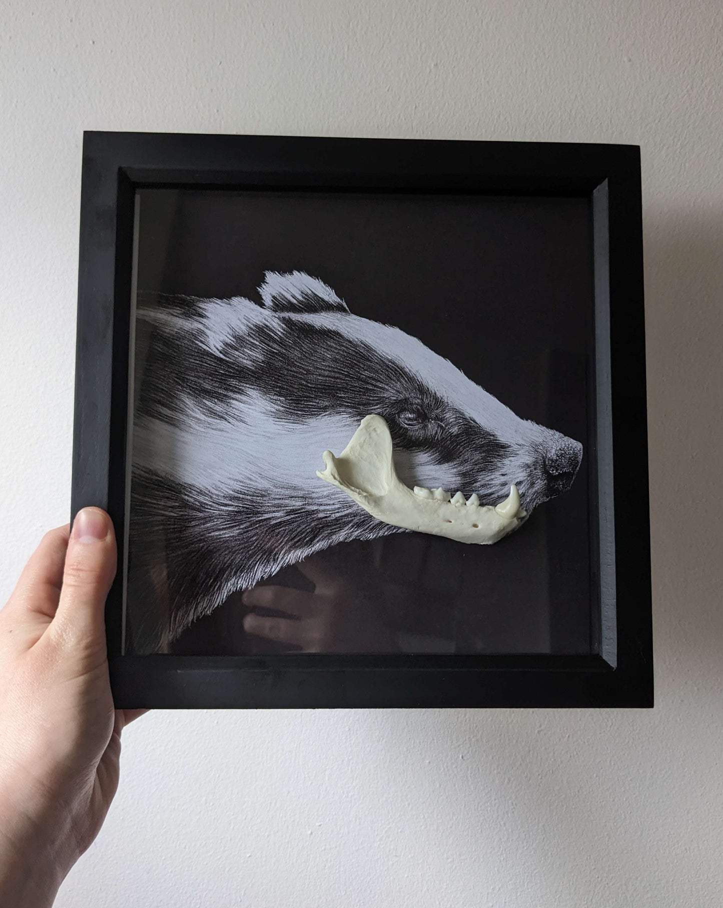 MR BADGER, Original art print with real badger jaw taxidermy framed shadow box | Gothic print | Oddities & Curiosities | Taxidermy art