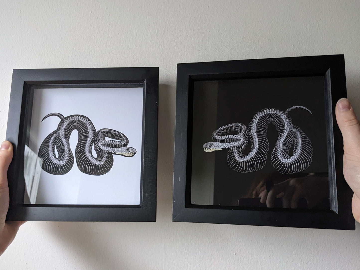 FORSNAKEN Original art print with snake skeleton & real jaw bone taxidermy framed shadow box | Oddities & Curiosities | Snake lover | Goth Decor | Witch