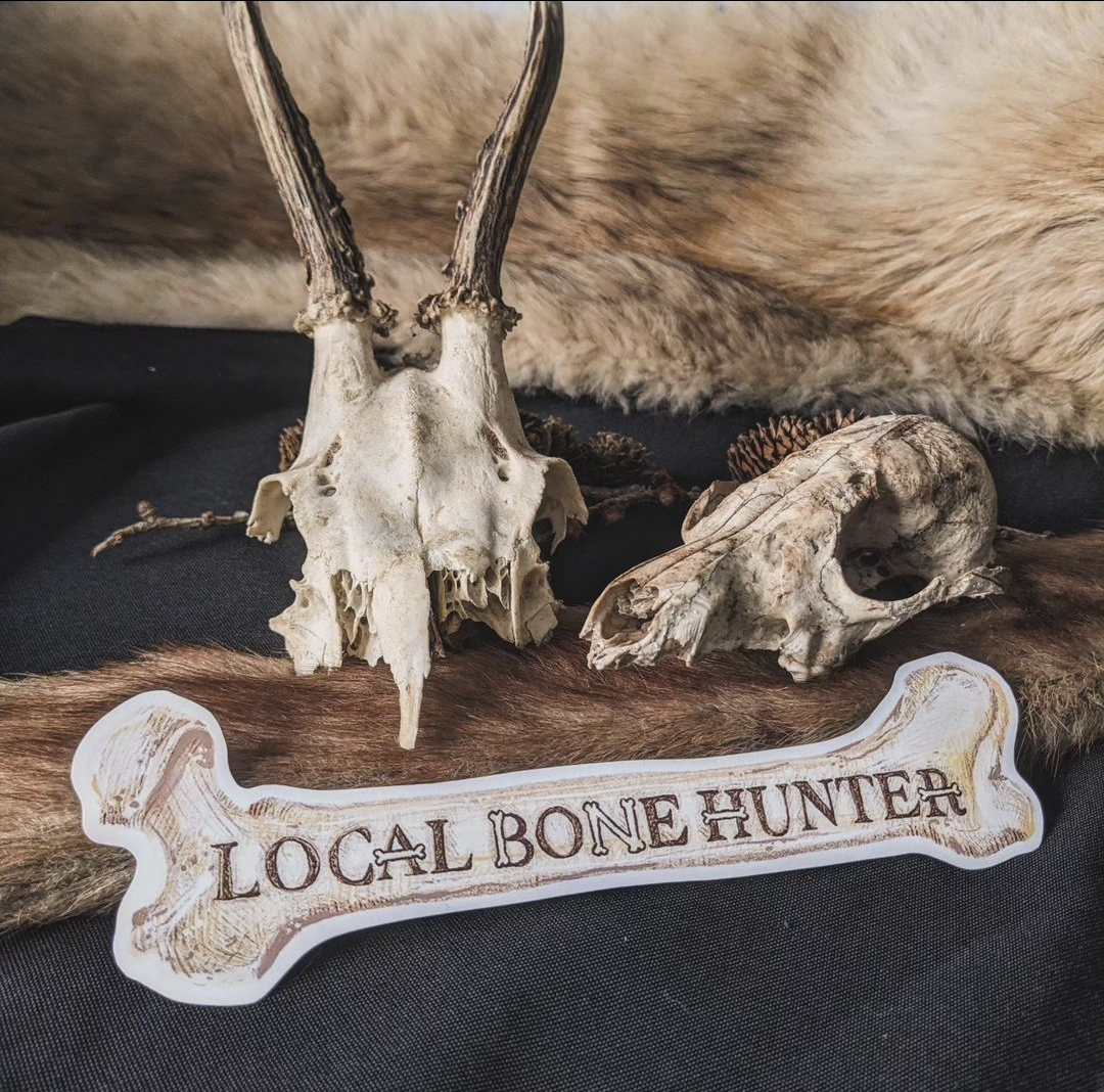 LOCAL BONE HUNTER, Original extra large sticker | Oddities & Curiosities | Vulture culture | Skull collecting | Gothic | Roadkill