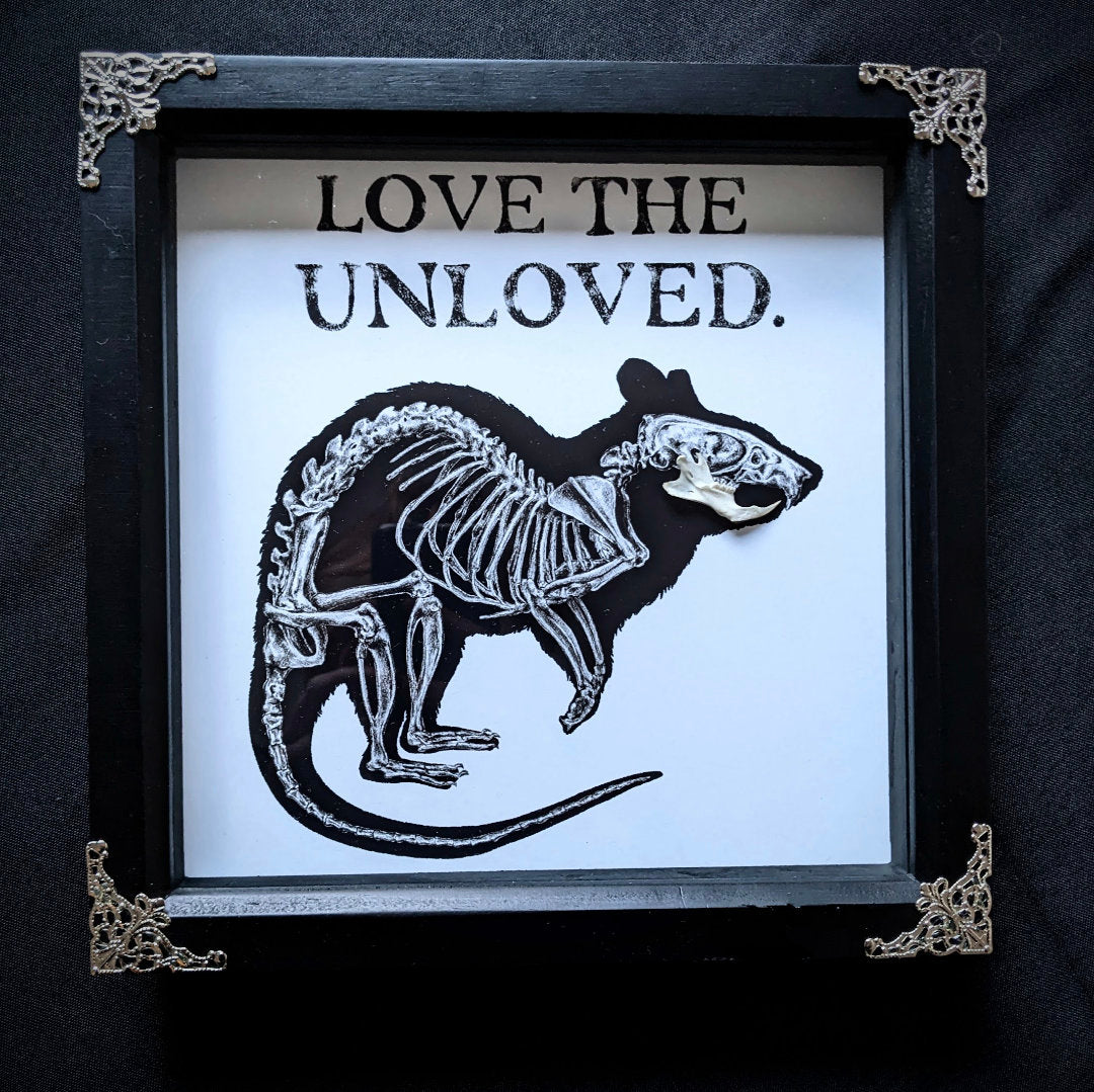 LOVE the UNLOVED, Original art print with real rat jaw taxidermy framed shadow box | Oddities & Curiosities | Rat lover | Goth Decor | Witch