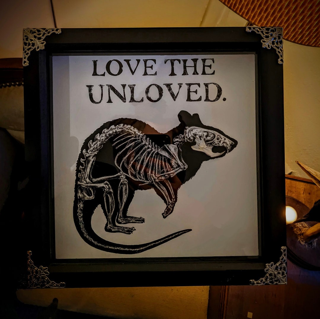 LOVE the UNLOVED, Original art print with real rat jaw taxidermy framed shadow box | Oddities & Curiosities | Rat lover | Goth Decor | Witch