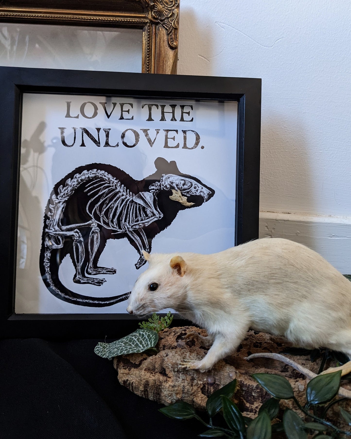 LOVE the UNLOVED, Original art print with real rat jaw taxidermy framed shadow box | Oddities & Curiosities | Rat lover | Goth Decor | Witch